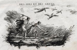 Ganzen en kraanvogels - Fabel van Aesopus (Griekse schrijver Aesopus, 6e eeuw v.Chr.) geschreven door Guillaume Montfort en gegraveerd door Beauble in 1801 door French School