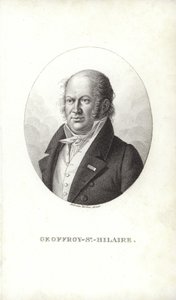Geoffroy Saint-Hilaire door French School