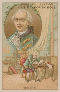 Georges-Louis Leclerc, Comte de Buffon, 18e-eeuwse Franse wetenschapper en schrijver door French School