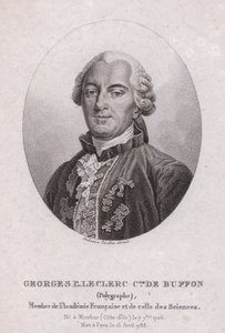 Georges-Louis Leclerc, Comte de Buffon, Franse wetenschapper en schrijver (gravure) door French School