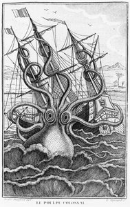 Reuzenoctopus, illustratie uit L