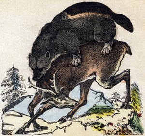 Veelvraat. Gravure in "Alphabet des animaux sauvages". 9e Serie. Beeldmateriaal van Epinal, Pellerin, drukker-uitgever, circa 1870. Houtsneden, gestencild. 16 pagina