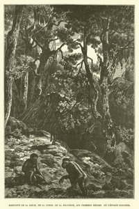 Inwoners van Griekenland, Zwitserland, Provence, in de eerste eeuwen van het Plioceen (gravure) door French School