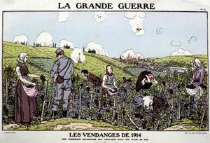 Oogst van 1914