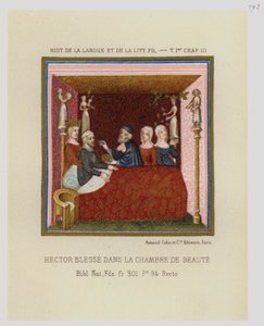 Hector gewond in de kamer van schoonheid