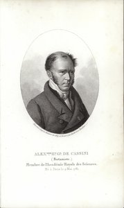 Henri Cassini door French School