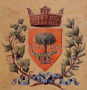 Heraldische wapens van de stad Nîmes door French School
