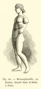 Hermaphrodite, in brons, gevonden in de Seine, Parijs (gravure)