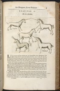 Histoire générale des Drogues, traitant des plantes, des animaux et des mineraux, door Pierre Pomet door French School