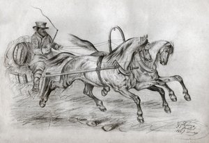 Paardenkar