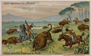 Buffeljacht in Noord-Amerika