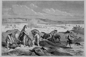 Jacht op guanaco (wilde lama) en nandou (of Patagonische struisvogel) in Argentinië - in Tour du Monde, 2e week 1861