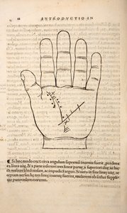 Illustratie uit Chiromantia door Joannes Indagioe, Straatsburg, 1531 door French School