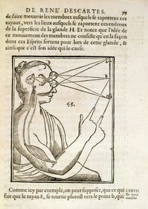 Illustratie uit De Homine Figuris door Rene Descartes, gepubliceerd in Den Haag, 1662