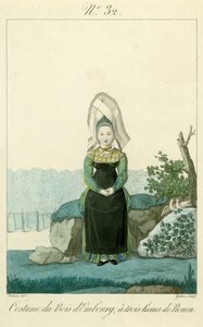 Illustratie nr. 32, Kostuum van de Bois d