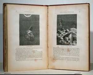 Illustraties uit Rond de maan door Jules Verne