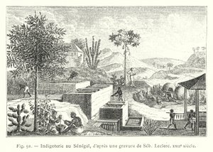 Indigoterie in Senegal, naar een gravure van Seb. Leclerc, 17e eeuw door French School