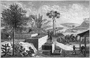 Indigoterie in Senegal in de 17e eeuw.