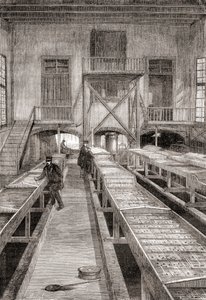 Interieur van een 19e-eeuwse viskwekerij in Huningue, Frankrijk, uit Les Merveilles de la Science, gepubliceerd ca. 1870 door French School