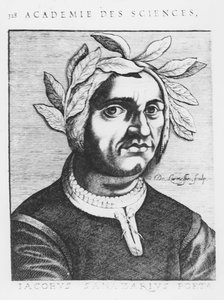 Jacopo Sannazaro (gravure)
