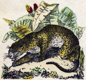 Jaguar. Gravure in "Alphabet des animaux sauvages". 9e Serie. Beeldverhaal van Epinal, Pellerin, drukker-uitgever, circa 1870. Gravures op hout, gestencild. 16 pagina