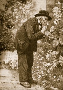 Jean-Henri Fabre observeert insecten door French School