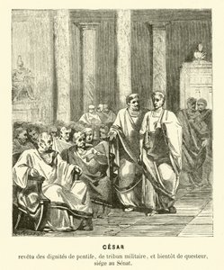 Julius Caesar in de Romeinse Senaat
