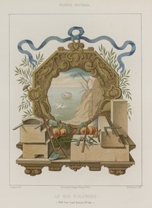 Nest van ijsvogels