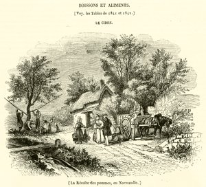 De Appeloogst in Normandië