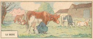 La Vache door French School