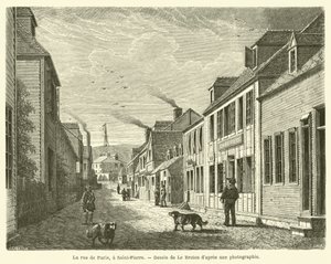 De straat van Parijs, in Saint-Pierre door French School