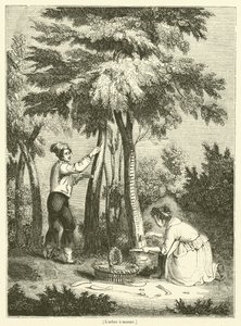 De boom van manna (gravure) door French School