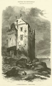 Het Kasteel van Montsoreau