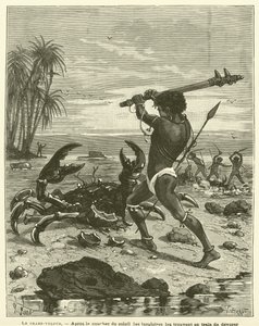 De diefkrab