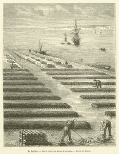 De Lahillon, Oesterpark van het bassin van Arcachon