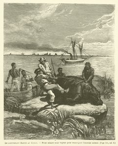 Luitenant Harou in Congo door French School
