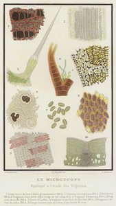 De microscoop, toegepast op de studie van planten door French School