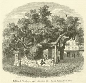 De plataan van het eiland Kos, op het openbare plein van de stad (gravure) door French School