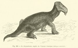 De dicynodont, reptiel uit het Trias, Zuid-Afrika (gravure) door French School