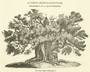 De oude eik van Allouville door French School