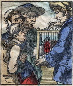 Lemuel Gulliver, in een kooi wordt getoond aan de reuzen van Brobdingnag. Illustratie voor 