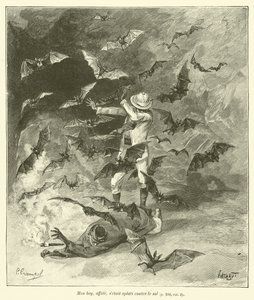 De grotten van Tham-Tai