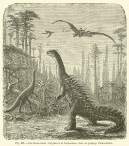 De dinosauriërs, Stegosaurus en Compsognathus, in een landschap van araucariaceae (gravure) door French School