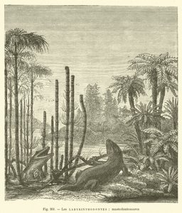 De labyrinthodonten, mastodontosauriërs (gravure) door French School