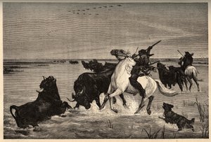 De ossen (runderras) van de Camargue naar het schilderij van Vayson - gravure in PATRIE - gravure in PATILE - BESCHRIJVING PICTURESQUE VAN FRANKRIJK IN 6 DELEN DOOR LUCIEN HUARD - eind 19e eeuw door French School