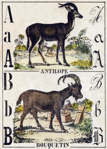 Letter A Antilope; B Steenbok. Gravure in 