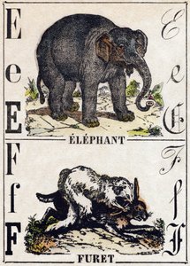 Letter E Olifant; F Fret. Gravure in "Alphabet des animaux sauvages". 9e Serie. Beeldvorming van Epinal, Pellerin, drukker-uitgever, circa 1870. Houtsneden, gestencild. 16 pagina