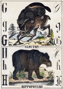 Letter G Veelvraat; H Nijlpaard. Gravure in 