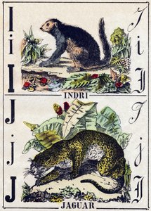 Letter I Indri (Lemurien); J Jaguar. Gravure in "Alphabet des animaux sauvages". 9e Serie. Beeldverhaal van Epinal, Pellerin, drukker-uitgever, circa 1870. Gravures op hout, gestencild. 16 pagina