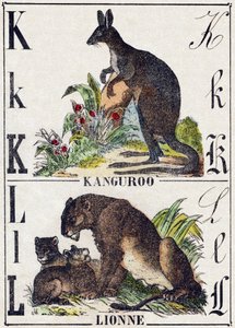 Letter K L; K Kangoeroe; L Leeuwin. Gravure in 